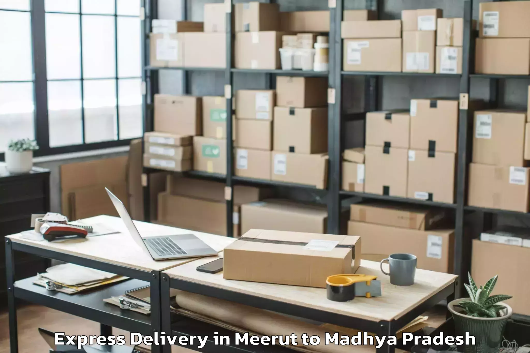 Leading Meerut to Porsa Express Delivery Provider